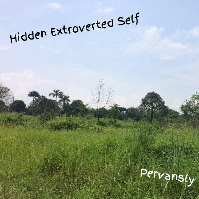 Hidden Extroverted Self