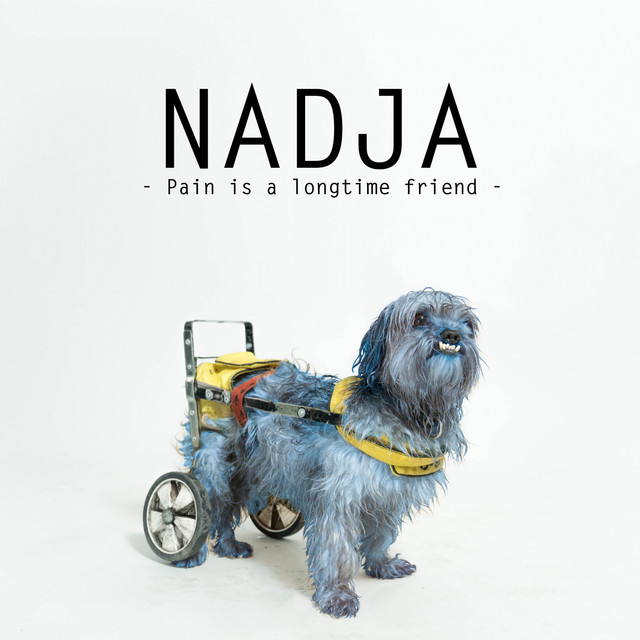 Pain Is a Longtime Friend cover art