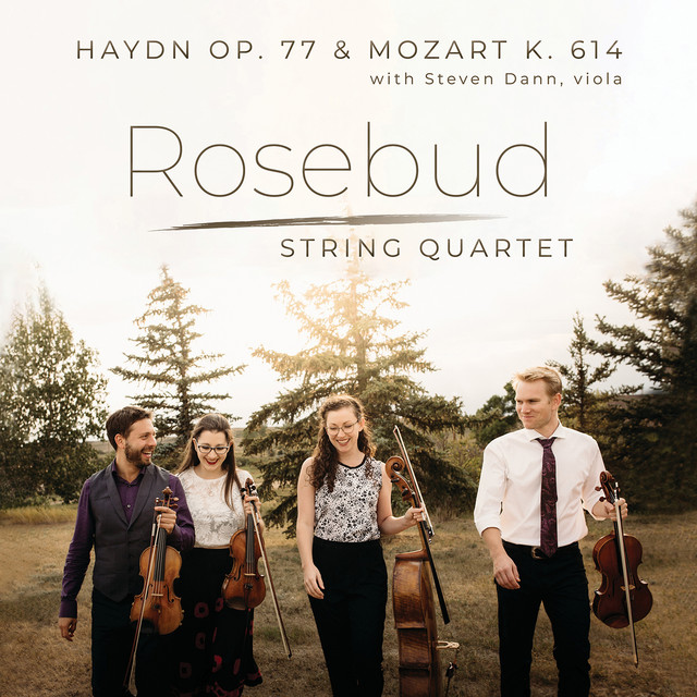 String Quintet No. 6 in E-Flat Major, K. 614: II. Andante cover art
