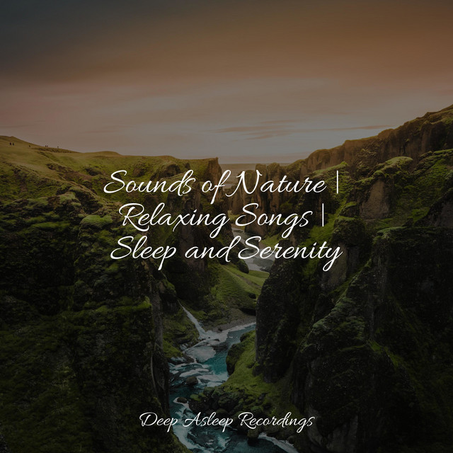 Sounds of Nature | Relaxing Songs | Sleep and Serenity - Album by Spa ...