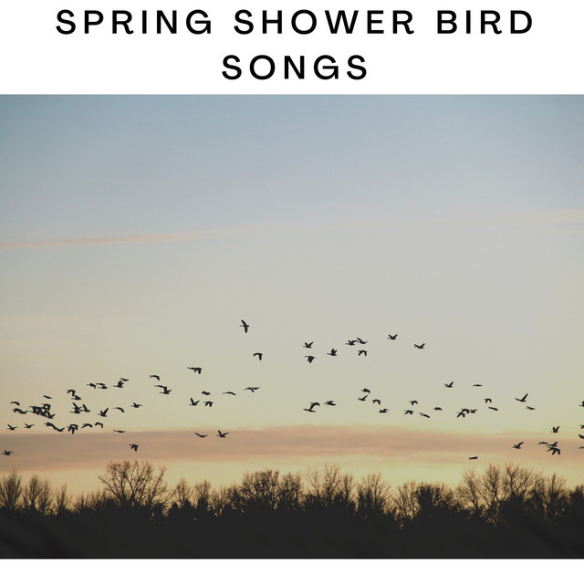 Spring Shower Bird Songs cover art
