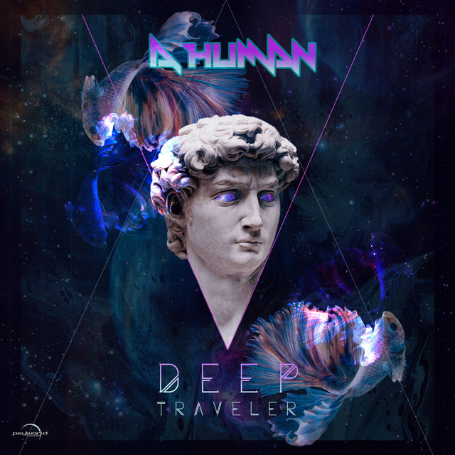 Deep Traveler cover