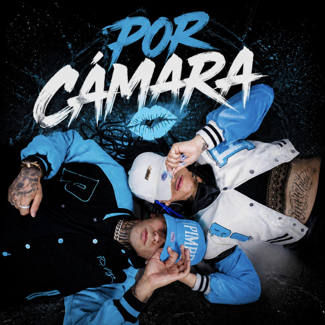 Por camara