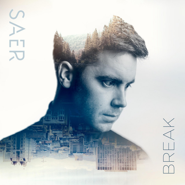 Break cover art