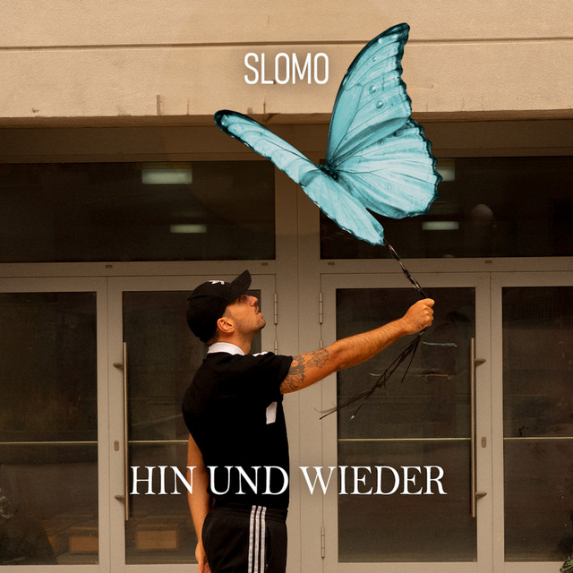 Hin und wieder (Schmetterlinge) cover