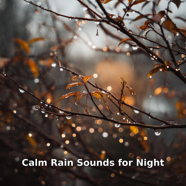 Calm Rain Sounds for Night
