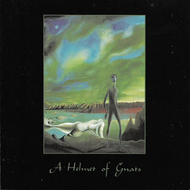 A Helmet of Gnats cover art