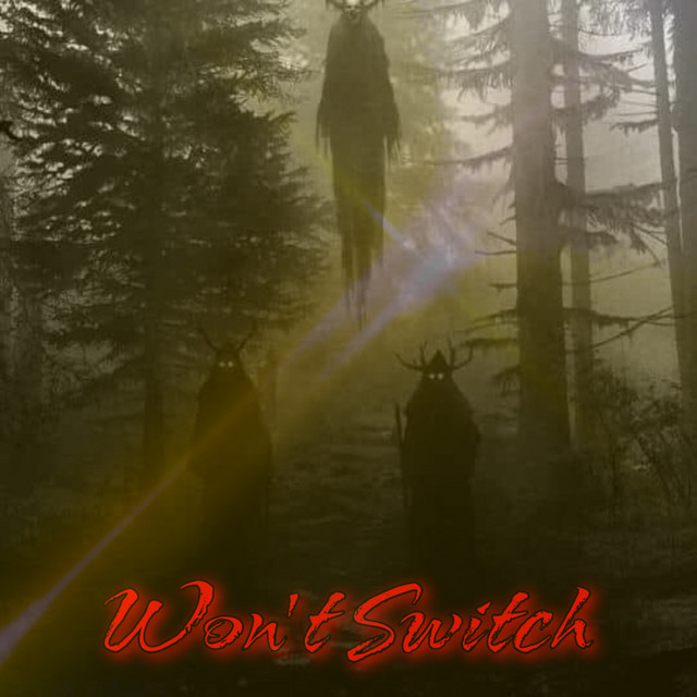 Won’t Switch (Extended Version)