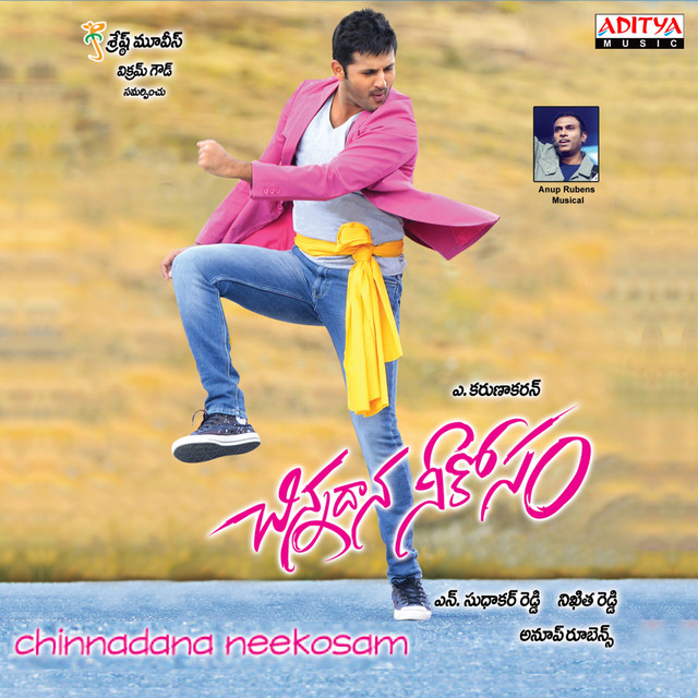 Chinnadana Neekosam