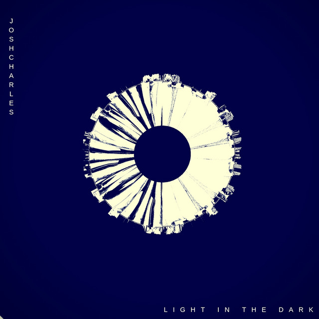 Light in the Dark cover