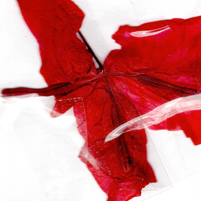 Ars Transmutatoria Rouge (2025 Remastered Version)