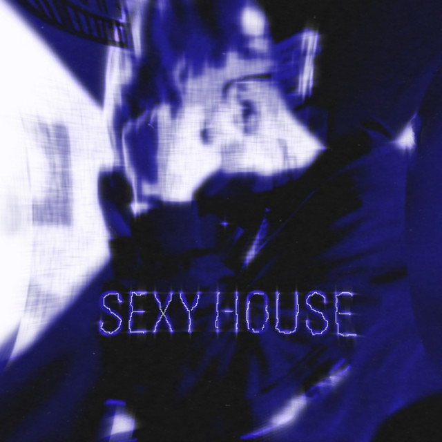 Cover art: SEXY HOUSE — LEBEDIUK