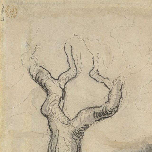 Coalesce (fragment) cover