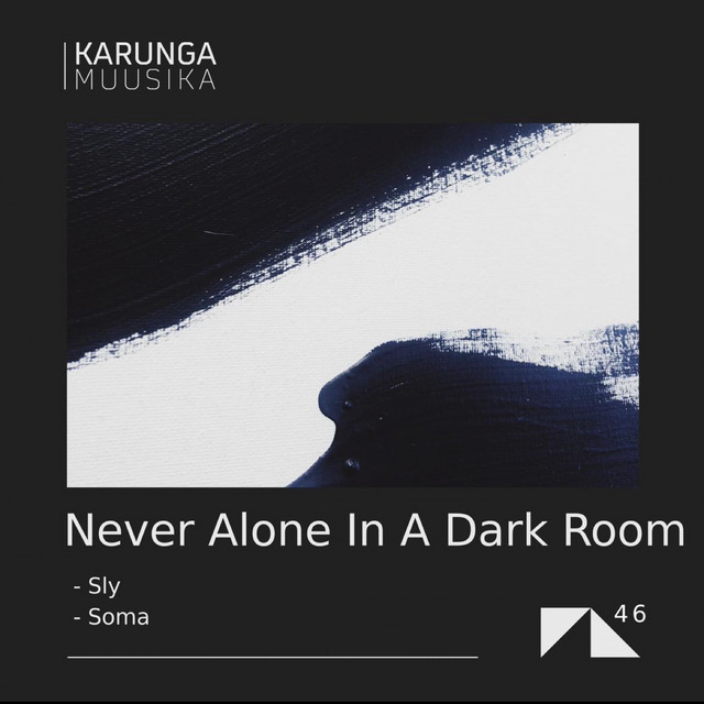 Sly - Single by Never Alone In A Dark Room | Spotify