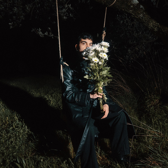 undefined album image