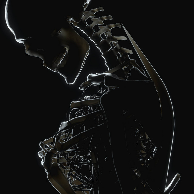heartRACE