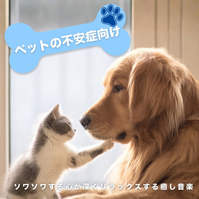 Pet Anxiety Relief - Relaxing Music to Soothe a Restless Mind cover art