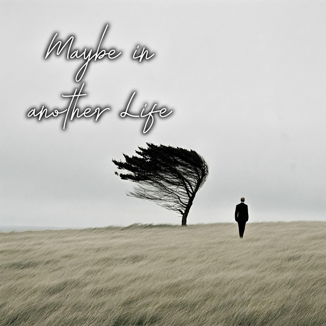 Maybe In Another Life cover art