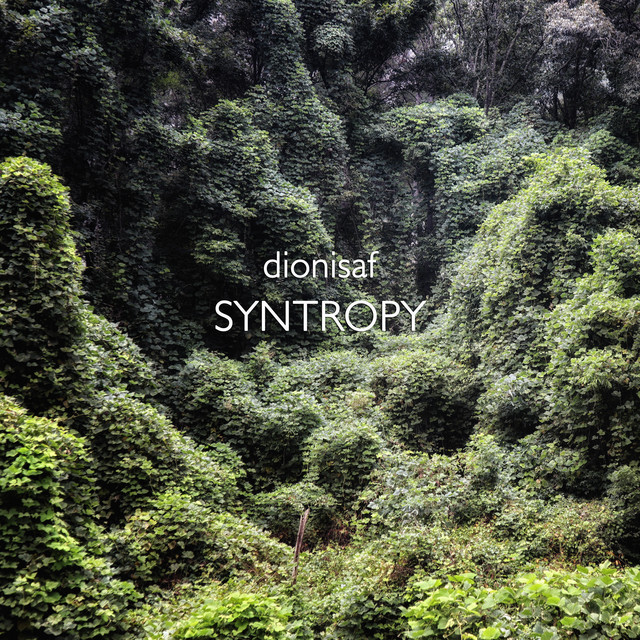 Syntropy cover art
