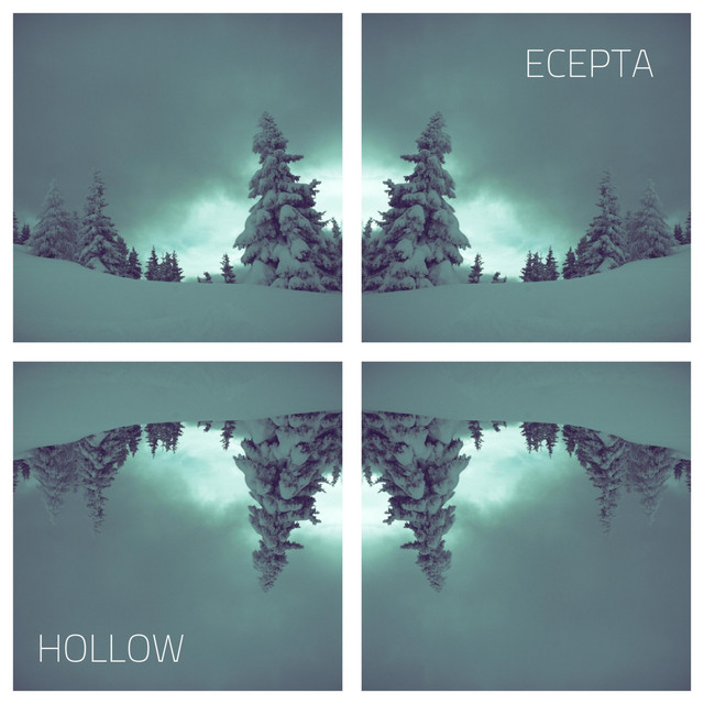Hollow cover art