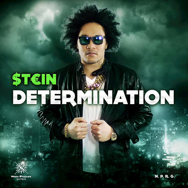 Determination cover art