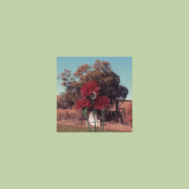Carnations cover art