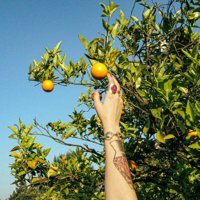 Orange cover art