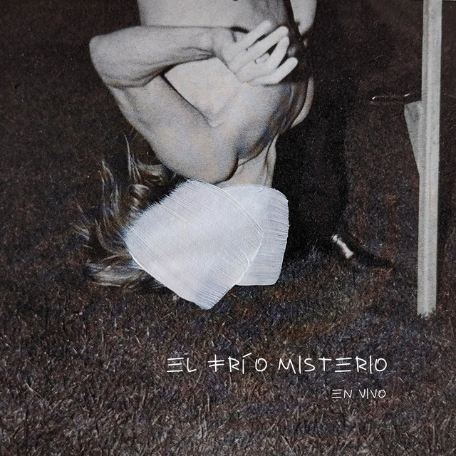 El frío misterio (En Vivo) album image