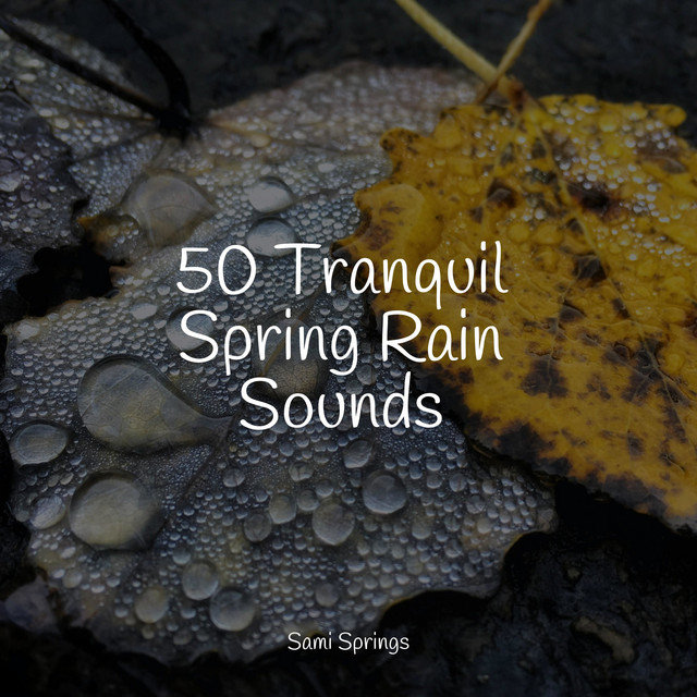 50 Tranquil Spring Rain Sounds - Album by Regen zum Schlafen | Spotify