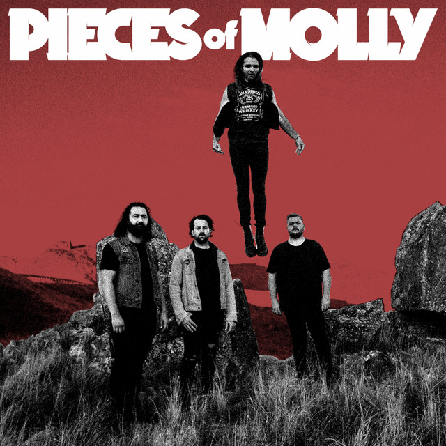 PIECES OF MOLLY