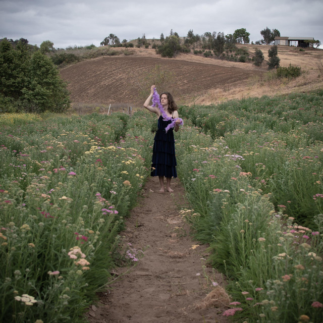 In The Flowers cover art