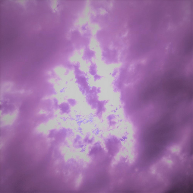 Raspberry cover art