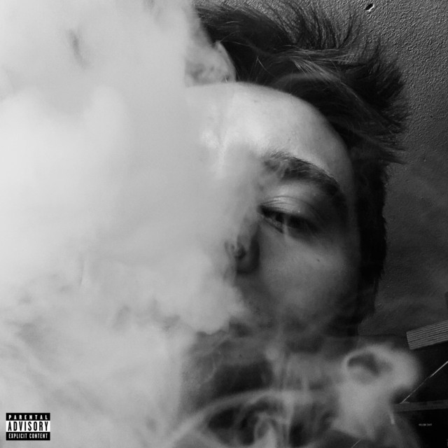 Обкладинка: Drunk Flow — DOLAROZAA