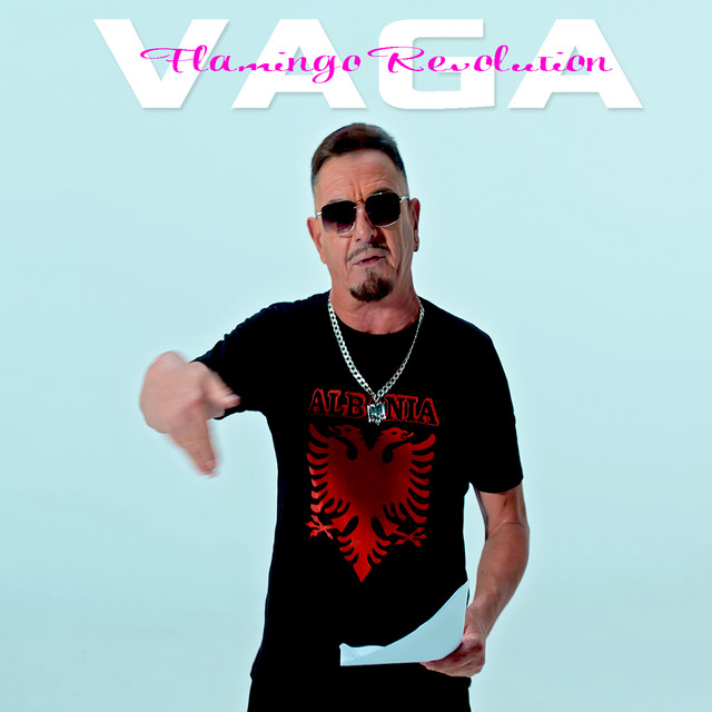 Flamingo Revolution album image