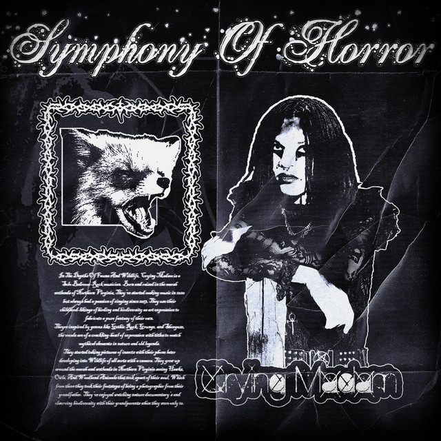 Symphony Of Horror cover art
