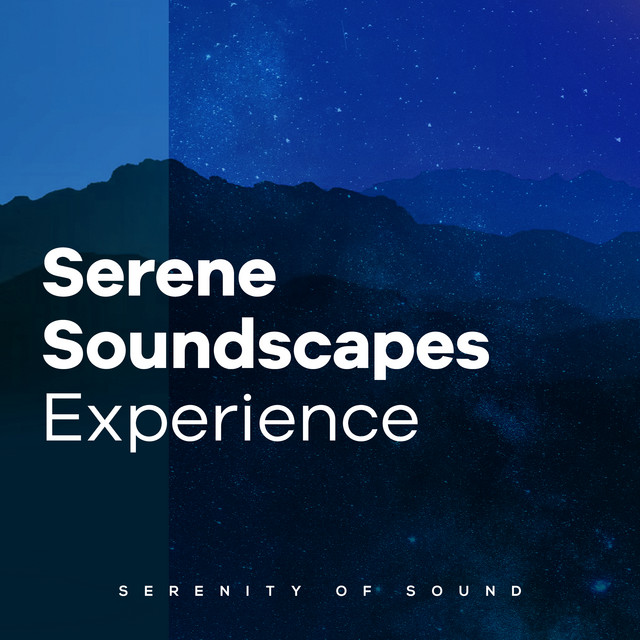 Serene Soundscapes Experience cover art
