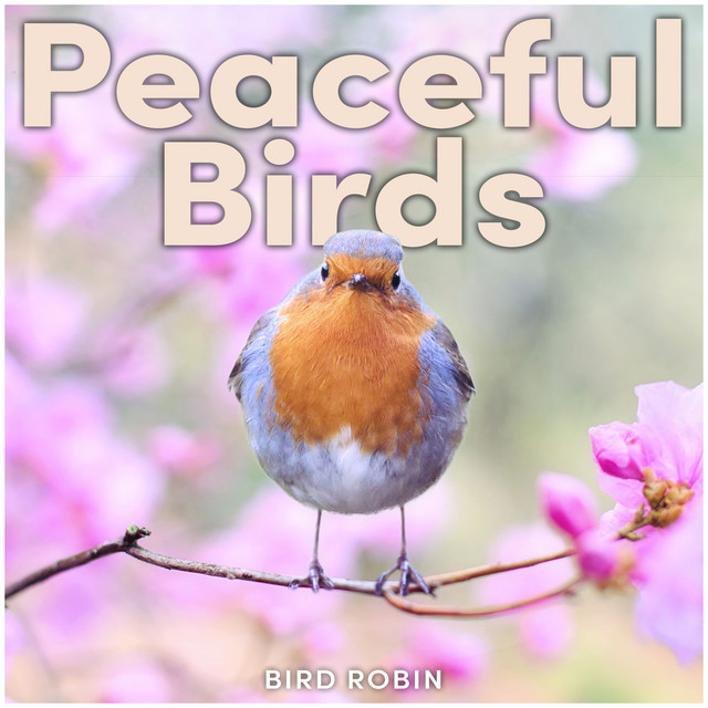 Peaceful Birds cover art