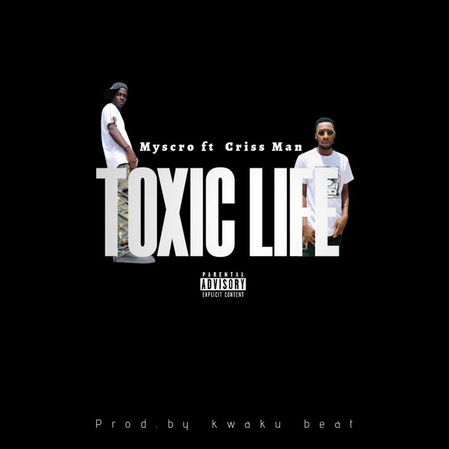 Toxic Life cover