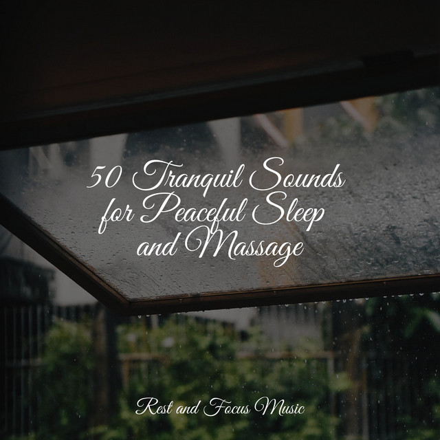 50 Tranquil Sounds for Peaceful Sleep and Massage - Album by Academia ...