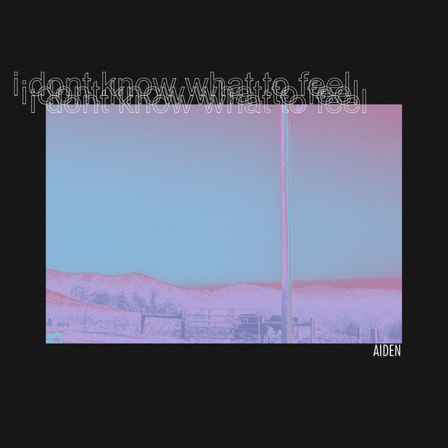 I Don't Know What to Feel cover art