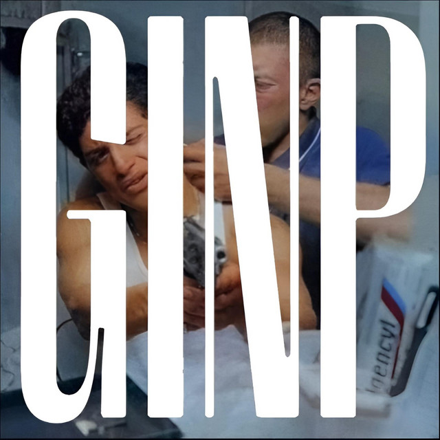 GINP cover art