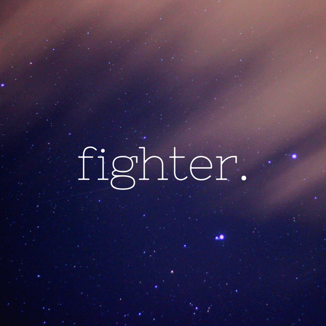 Fighter cover art