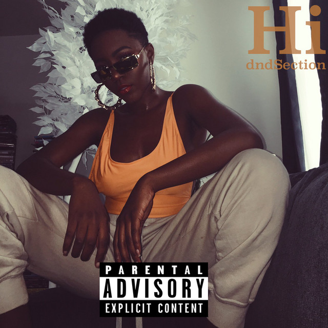 Hi cover art
