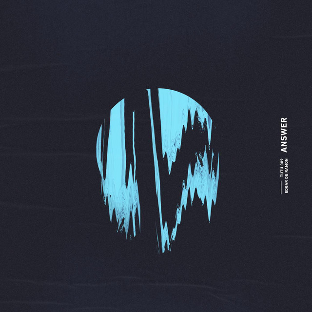 Answer cover art