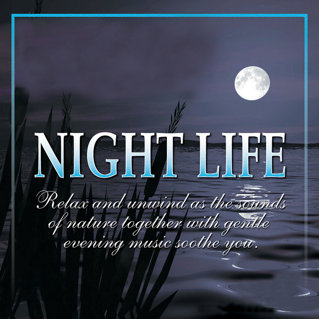 Night Life cover art