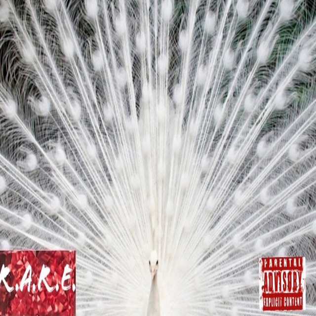R.A.R.E cover art