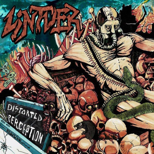 Distorted Perception cover