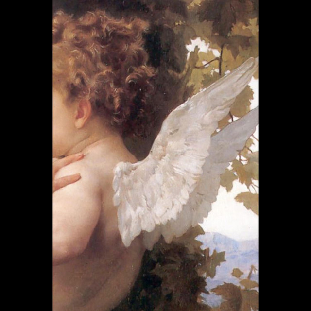 cupid cover art