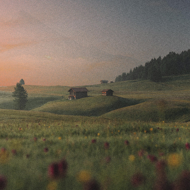 touch grass cover art