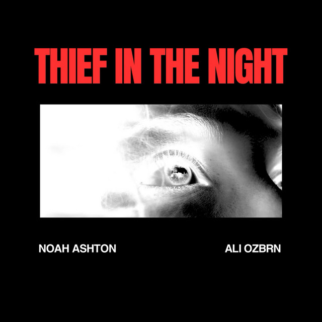 THIEF IN THE NIGHT